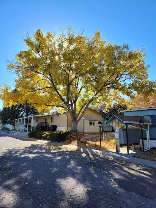 Holiday Village - Colorado Picture 10