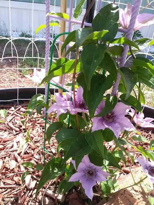 Shangri-La Mobile Home Park, LLC Picture 3