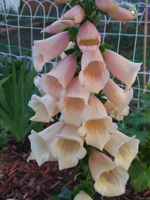 Shangri-La Mobile Home Park, LLC Picture 5