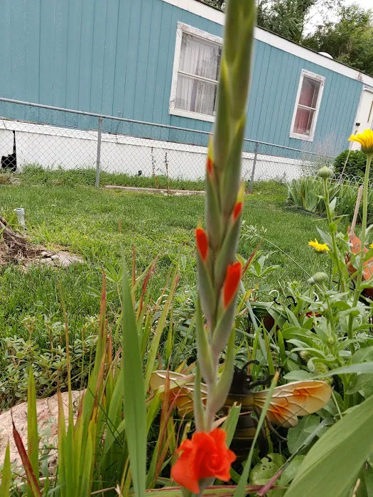 Shangri-La Mobile Home Park, LLC Picture 4