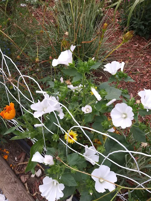 Shangri-La Mobile Home Park, LLC Picture 9