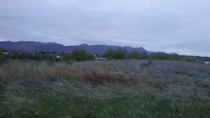 Emerald Acres Mobile Home Park Picture 5