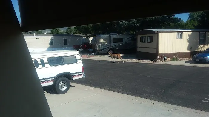 Tangen Herbert Picture 2