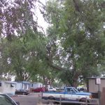 Aspen Grove Mobile Home Park