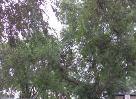 Aspen Grove Mobile Home Park