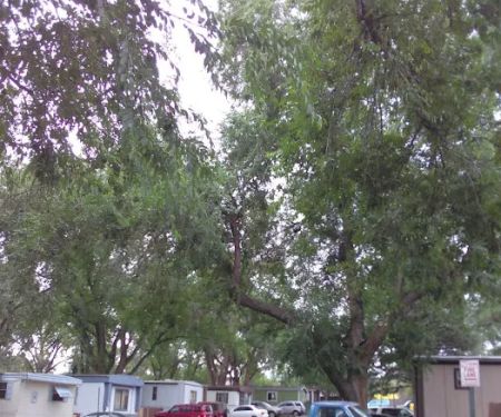 Aspen Grove Mobile Home Park