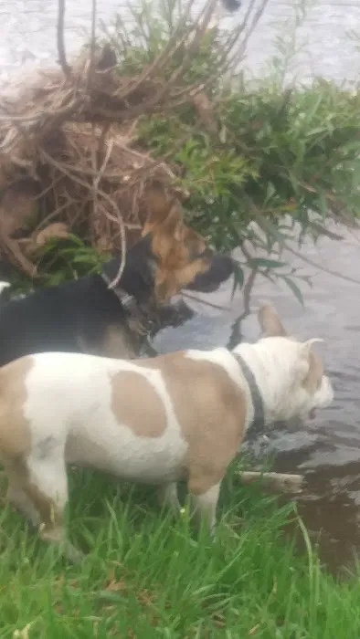 A-1 Mobile Village Picture 2