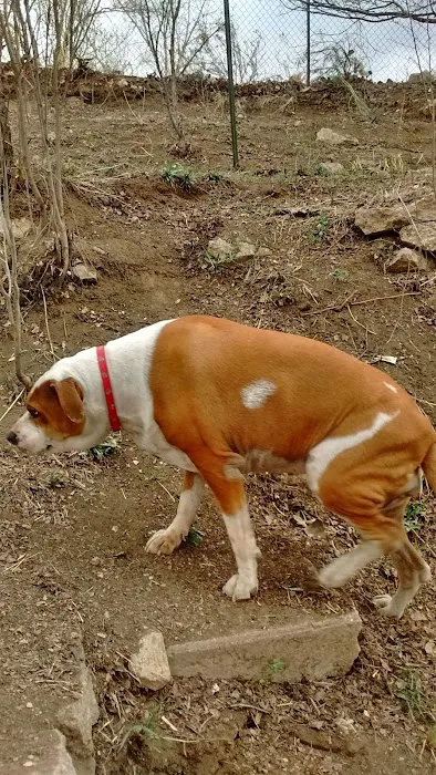 A-1 Mobile Village Picture 10