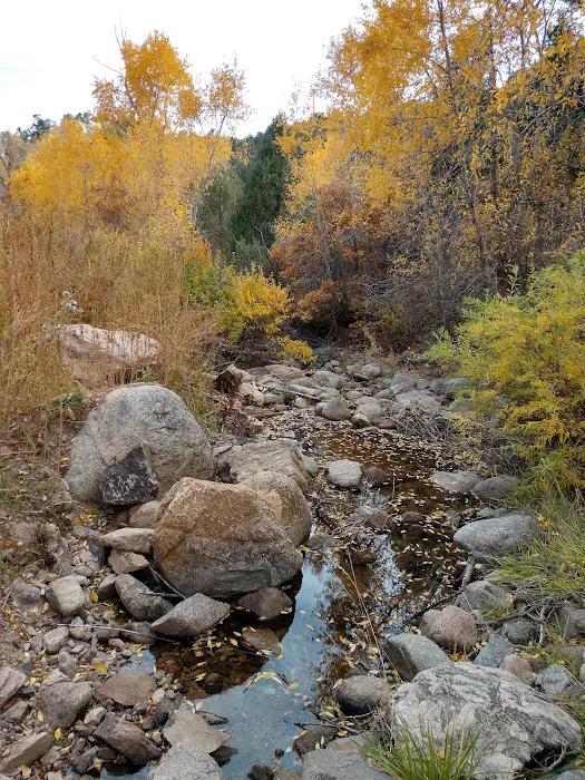 Sunview RV Park Picture 8