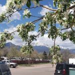 Northwoods Village Mature RV