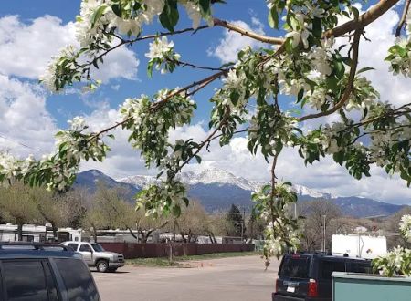 Northwoods Village Mature RV