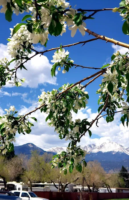 Northwoods Village Mature RV Picture 2