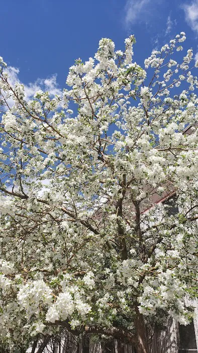 Northwoods Village Mature RV Picture 3