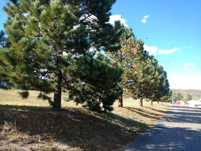 Larkspur Station Mobile Home Picture 6