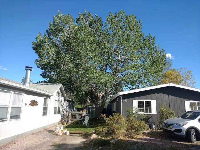 Larkspur Station Mobile Home Picture 8