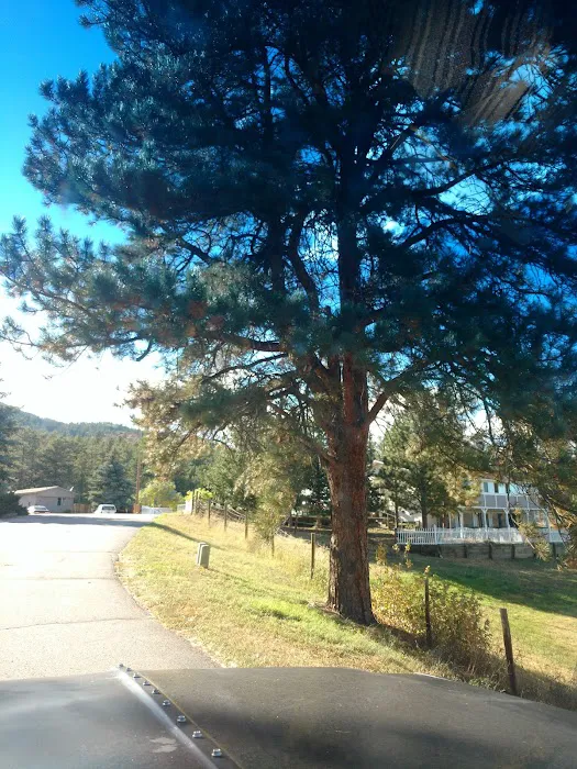 Larkspur Station Mobile Home Picture 1