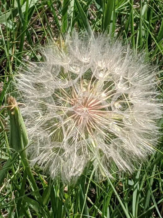 Highland Mobile Home Park Picture 10