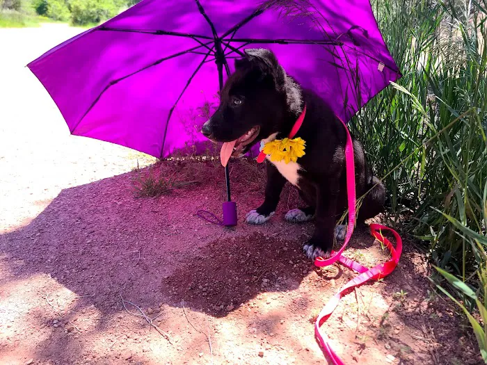 Circle Drive Mobile Home Park Picture 4