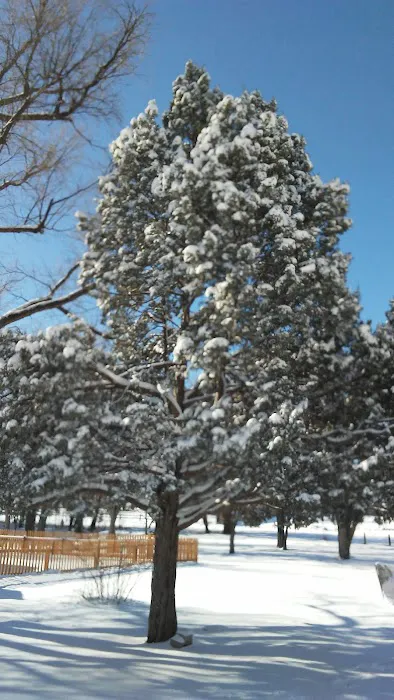 Chancellors Picture 5