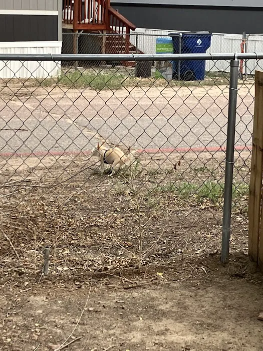 Chancellors Picture 10