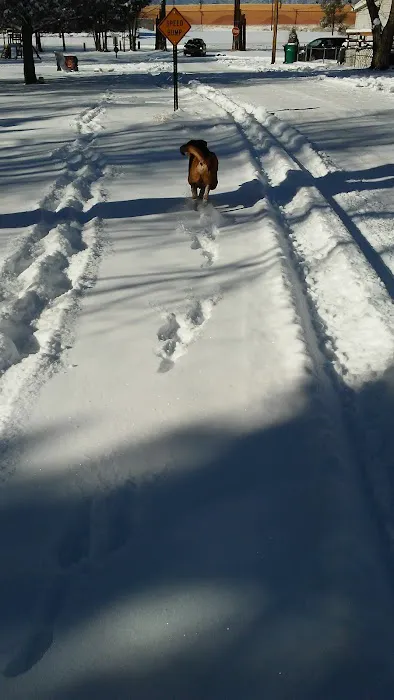 Chancellors Picture 2