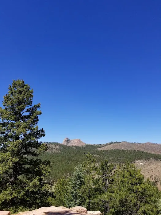 Lamplighter Community Manufactured Home Community Picture 2