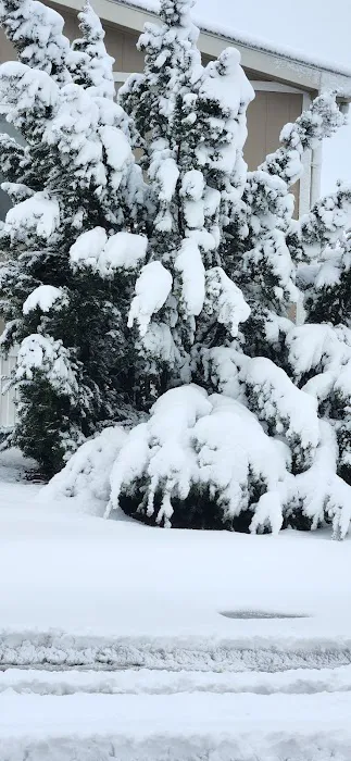 Lamplighter Community Manufactured Home Community Picture 4