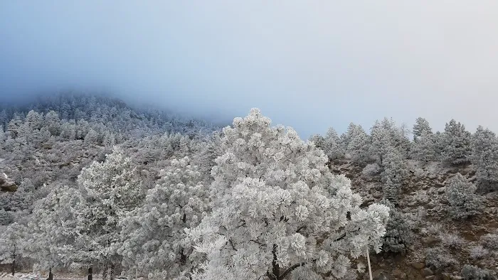 Lamplighter Community Manufactured Home Community Picture 10