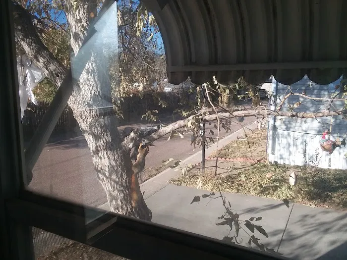 El Morro Homes Picture 4