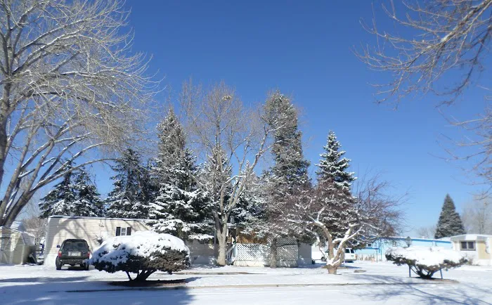 El Morro Homes Picture 3