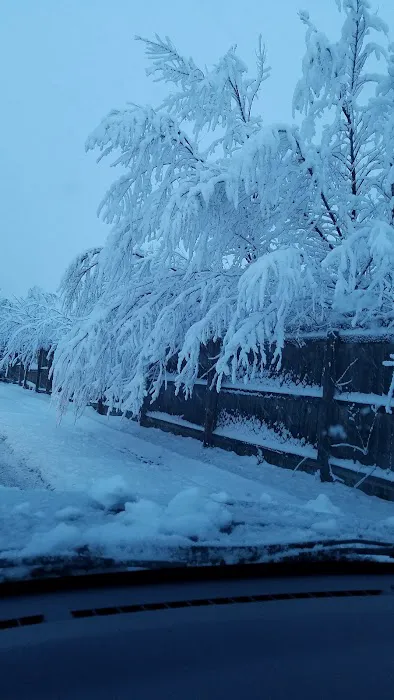 El Morro Homes Picture 9