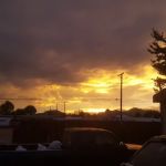 Doms Mobile Home Park