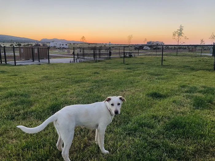 Love's RV Stop Picture 7