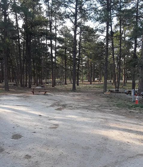 Casey's RV Hideaway Picture 4