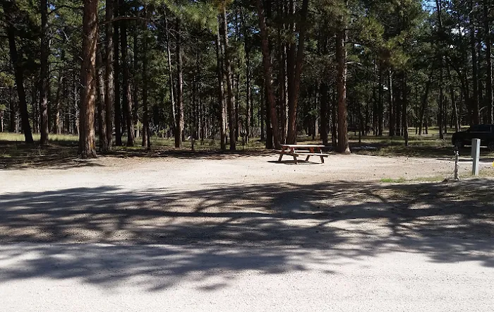 Casey's RV Hideaway Picture 10