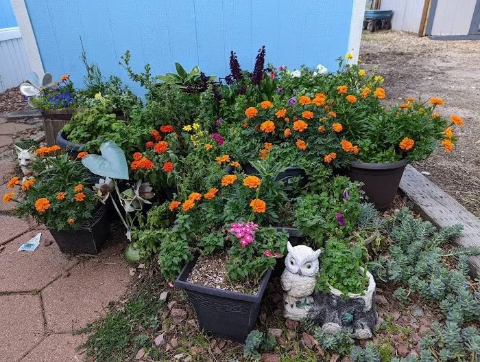 La Cresta Mobile Estates Picture 9