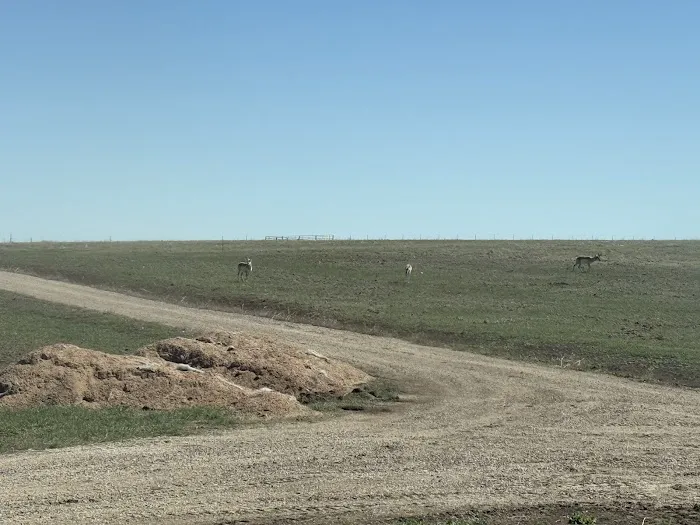 Rolling Vista RV Camping Site Picture 9