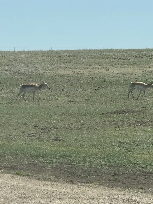 Rolling Vista RV Camping Site Picture 8