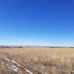 Country Gardens Mobile Home Pk