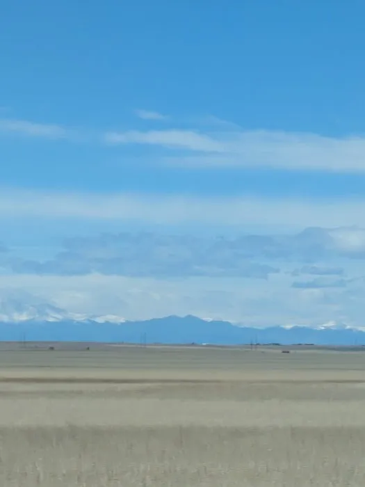 Country Gardens Mobile Home Pk Picture 2