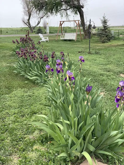 Galbraith Estates Mobile Home Park Picture 5