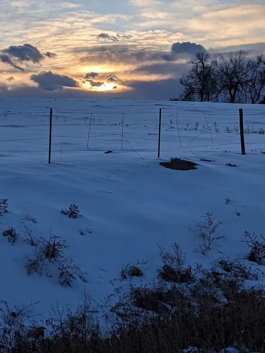 Friendly Village of Aurora Picture 3