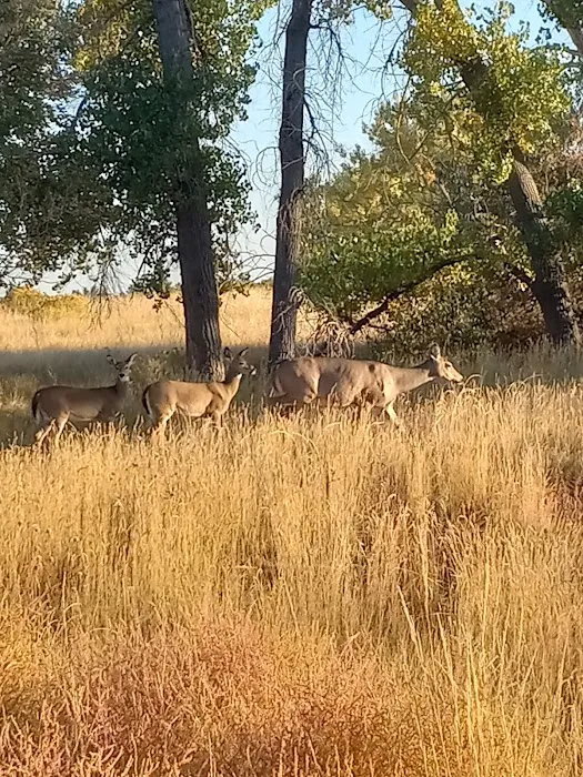 Friendly Village of Aurora Picture 9