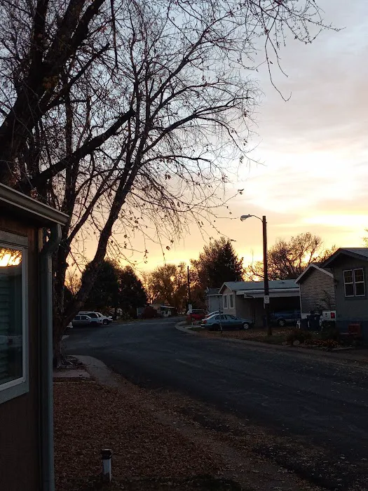 Friendly Village of Aurora Picture 10