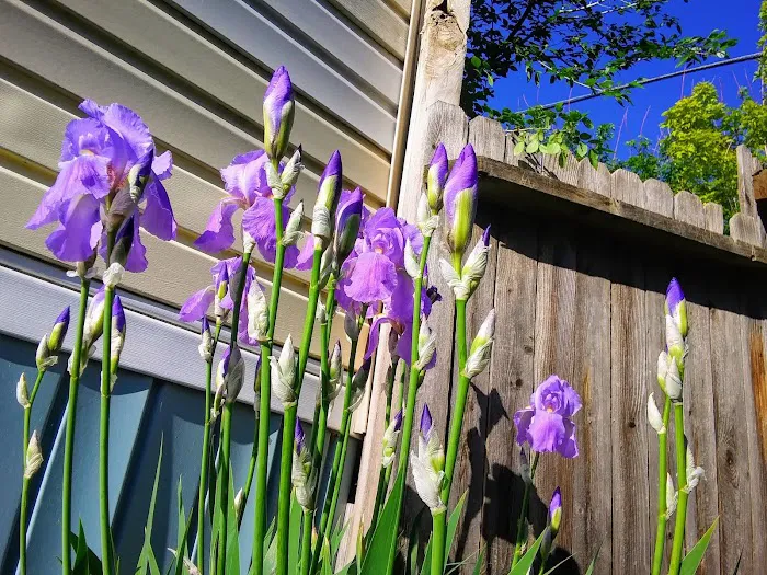 M & M Mobile Home Park Picture 8