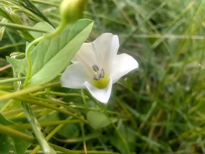 M & M Mobile Home Park Picture 1