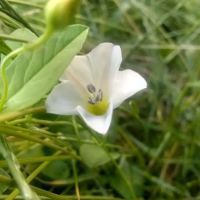 M & M Mobile Home Park ico