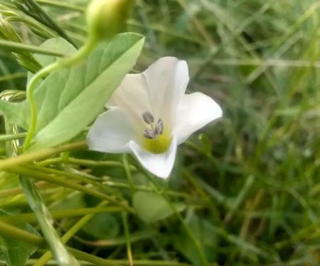 M & M Mobile Home Park