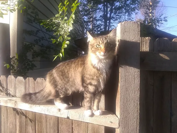 M & M Mobile Home Park Picture 4