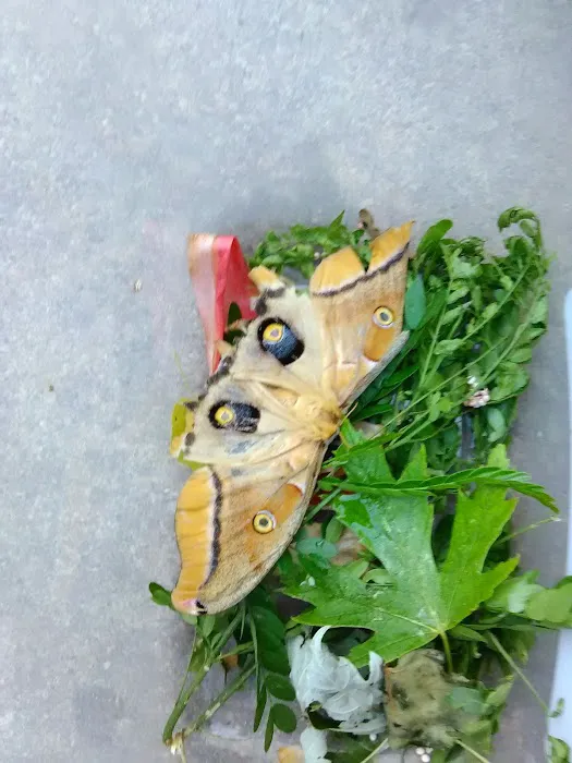 M & M Mobile Home Park Picture 10